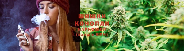 хмурый Арсеньев