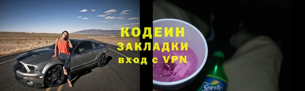 хмурый Арсеньев