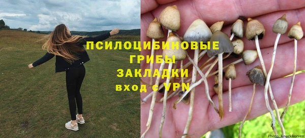 хмурый Арсеньев