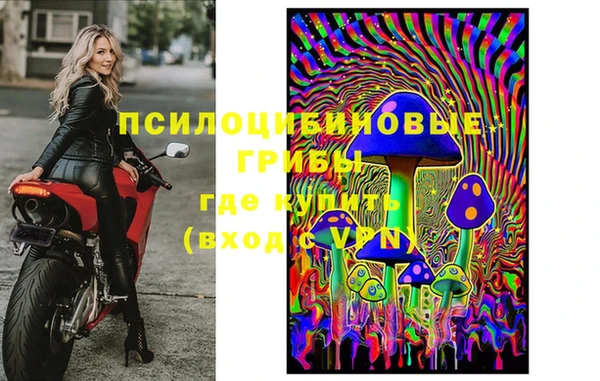 хмурый Арсеньев