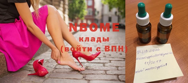 хмурый Алзамай