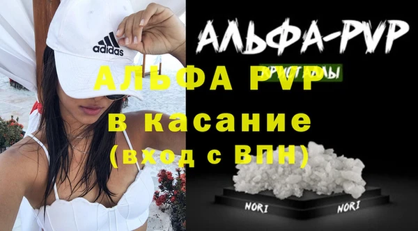 хмурый Арсеньев