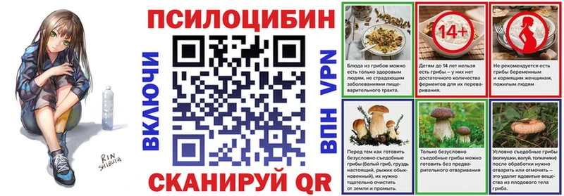shop телеграм  Глазов  Псилоцибиновые грибы мицелий  купить  